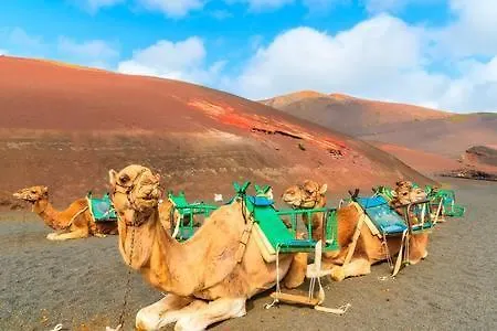 The Colors House, 636 Sea View & 513 Garden View * Costa Teguise