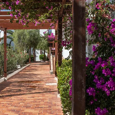 The Colors House, 636 Sea View & 513 Garden View Apartment *